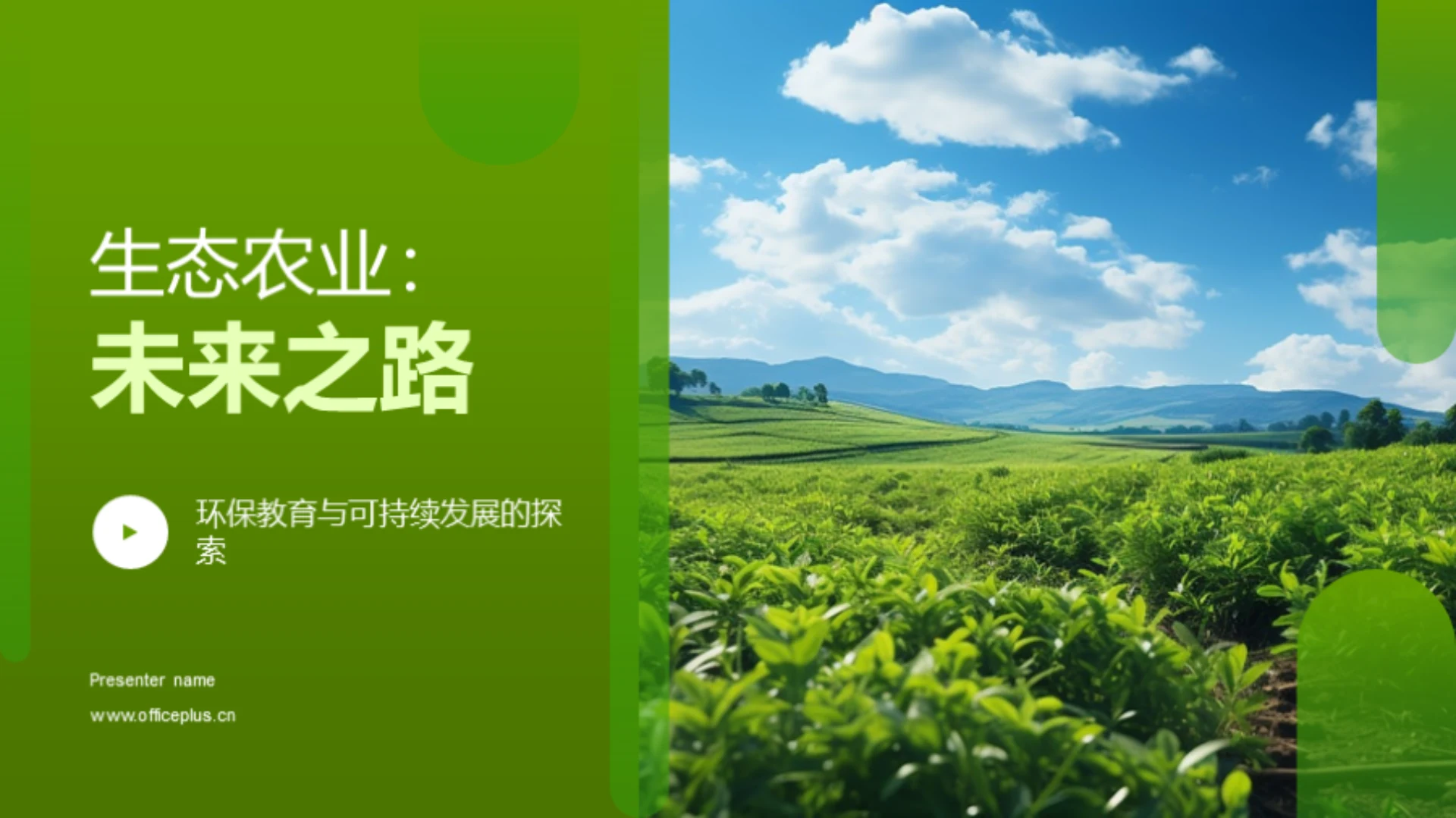 生态农业:未来之路