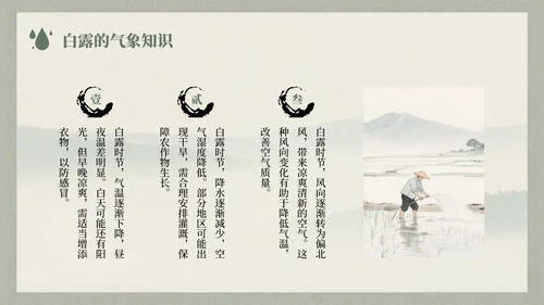 浅绿色中国风白露节气的历史文化习俗介绍PPT模板