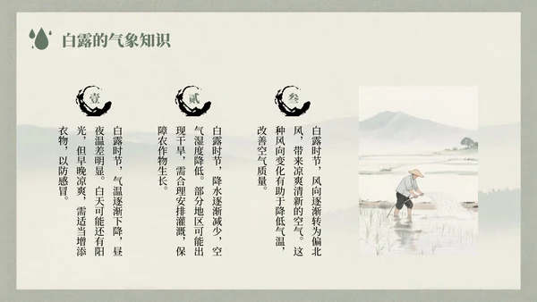 浅绿色中国风白露节气的历史文化习俗介绍PPT模板