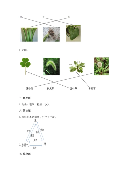 教科版科学一年级上册第一单元《植物》测试卷附参考答案ab卷.docx