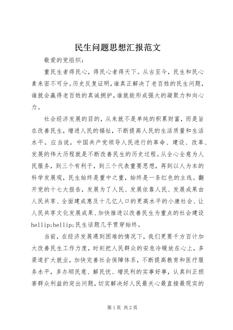 民生问题思想汇报范文.docx