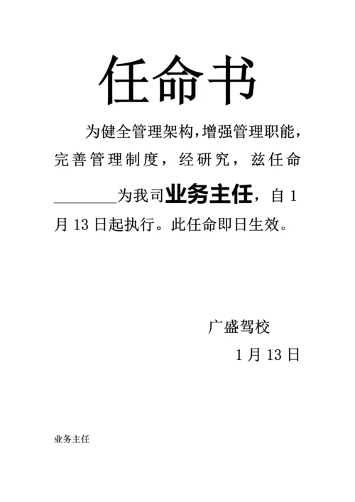 任命书(2)_精品文档.docx