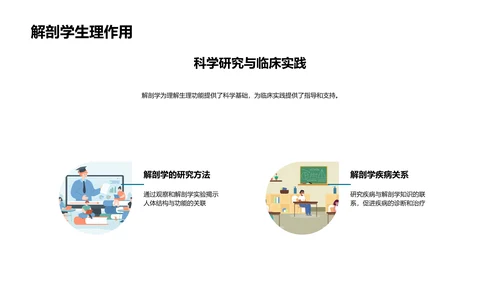 解剖学教学深度解析PPT模板