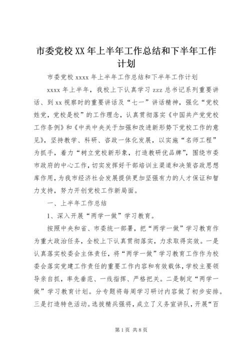 市委党校XX年上半年工作总结和下半年工作计划 (2).docx