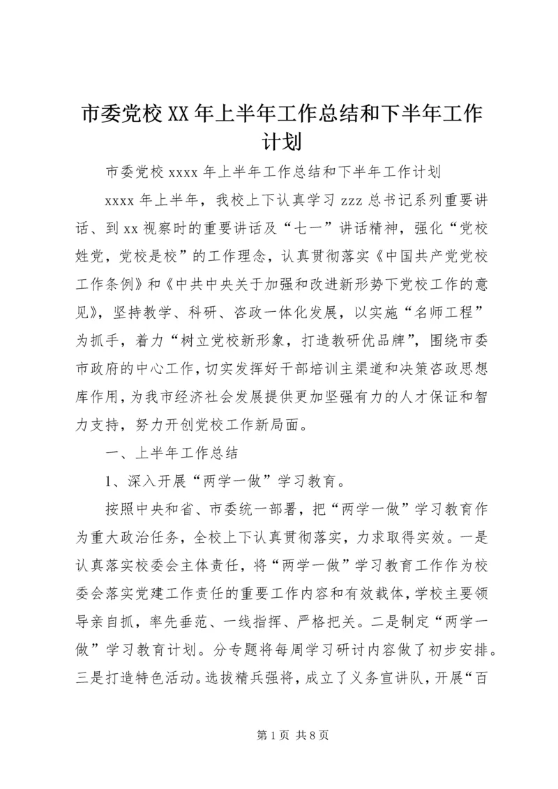 市委党校XX年上半年工作总结和下半年工作计划 (2).docx