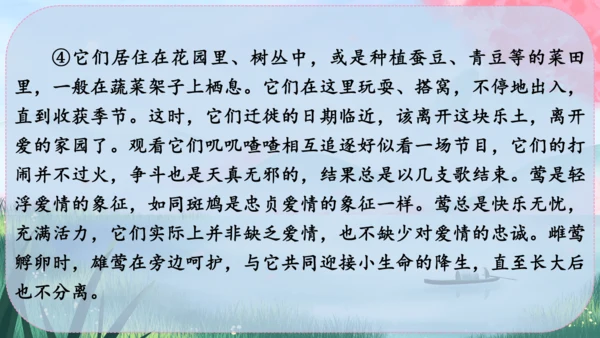 19《大雁归来》课件