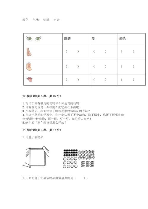 教科版小学科学一年级下册期末测试卷【培优b卷】.docx