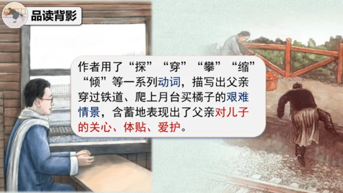 14 背影 课件