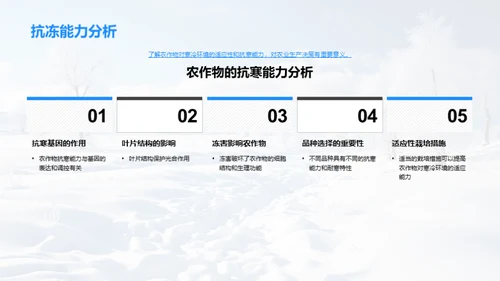 寒冬农业：挑战与机遇