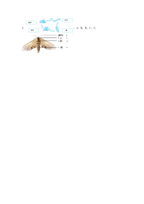 教科版三年级下册科学期末测试卷（考点精练）.docx