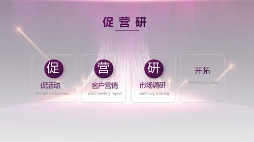 紫色公司品牌发布会策划方案工作总结PPT