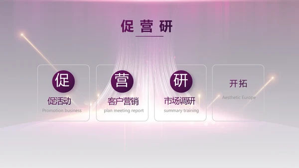 紫色公司品牌发布会策划方案工作总结PPT