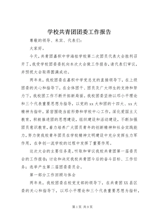 学校共青团团委工作报告 (2).docx