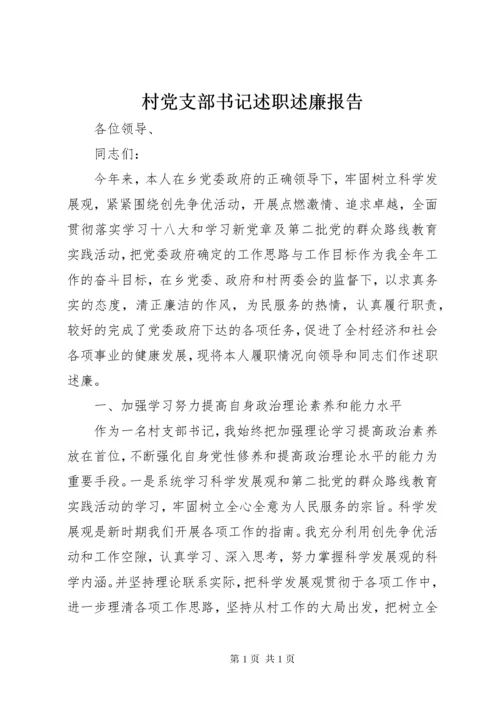 村党支部书记述职述廉报告 (2).docx