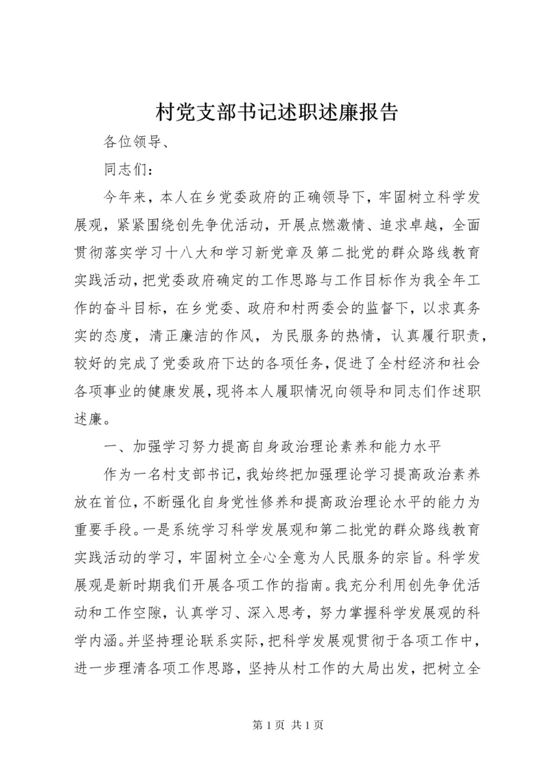 村党支部书记述职述廉报告 (2).docx