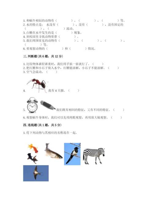 教科版一年级下册科学期末测试卷精品【a卷】.docx