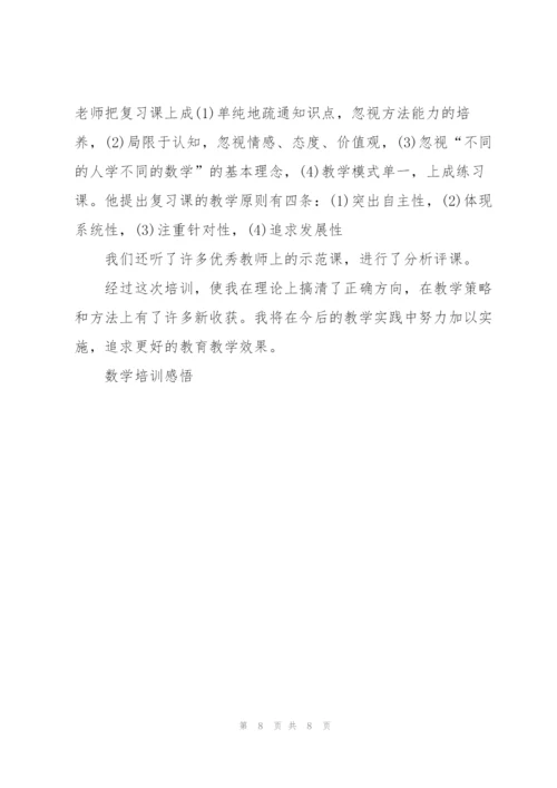 教师个人数学培训心得体会3篇.docx