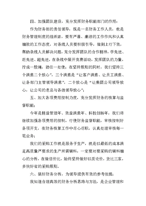 财务部领导个人工作总结