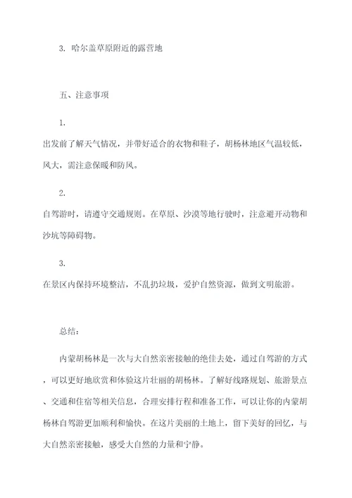 内蒙胡杨林自驾游旅游攻略