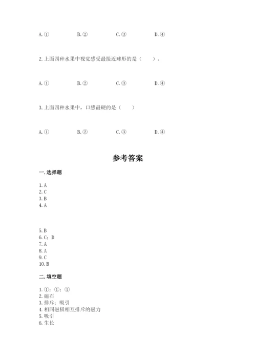 教科版小学科学二年级下册期末测试卷【考点梳理】.docx