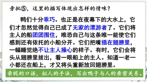 第17课《孤独之旅》课件