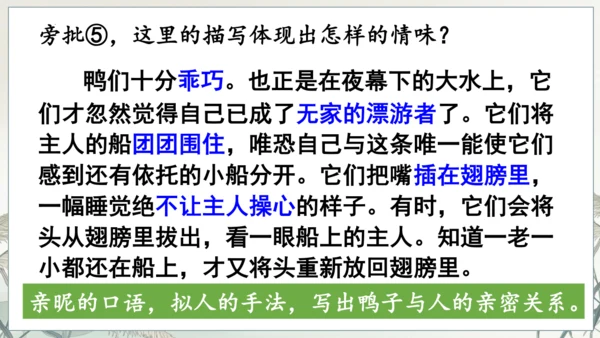 第17课《孤独之旅》课件