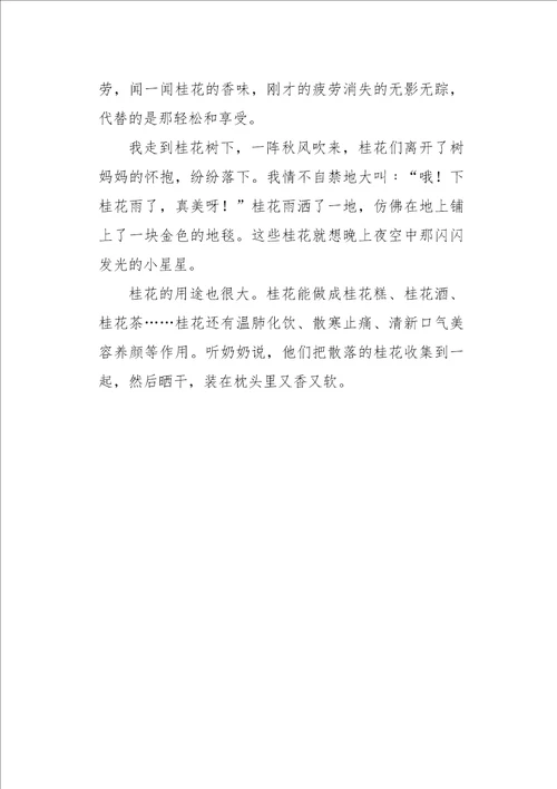 五年级作文状物桂花600字