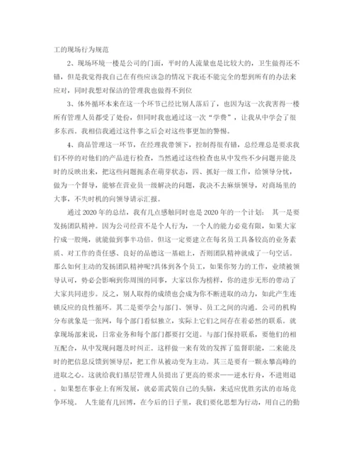 精编之游乐园暑期工作总结报告范文.docx