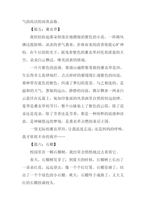 小学三年级状物作文大全.docx