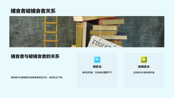 深度解析食物链
