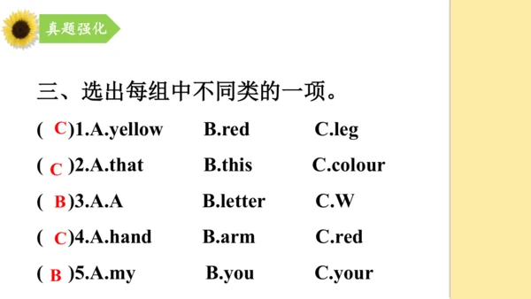 外研版（三年级起点）三年级英语下册期中核心考点集训 Module 1 复习课件(共27张PPT)