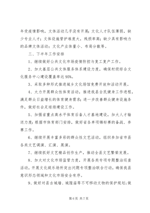 文体局上半年工作总结及下半年安排.docx