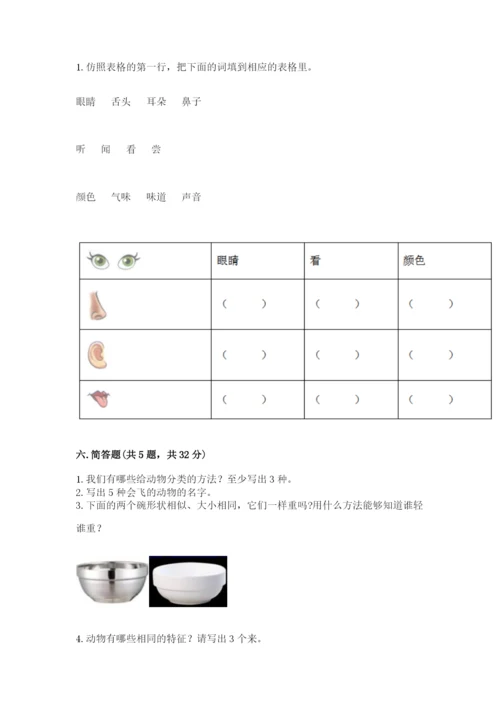 教科版小学科学一年级下册期末测试卷含完整答案【易错题】.docx