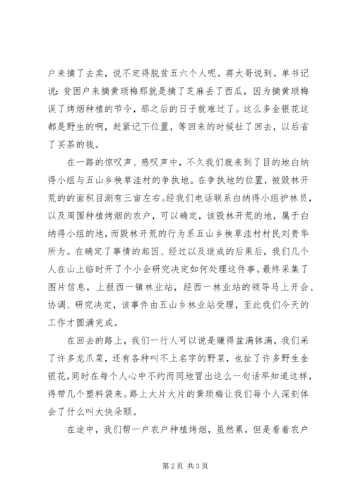 关于争执地被毁林开荒实地考察小记.docx