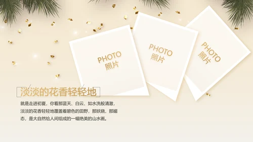 圣诞快乐圣诞节组织活动策划方案PPT