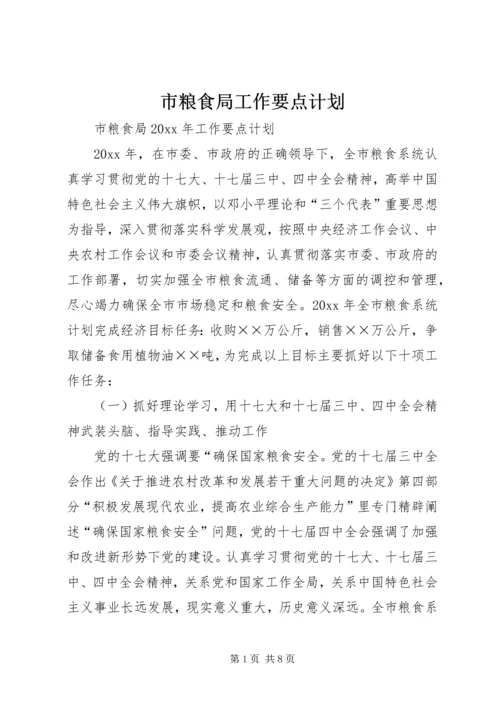 市粮食局工作要点计划 (3).docx