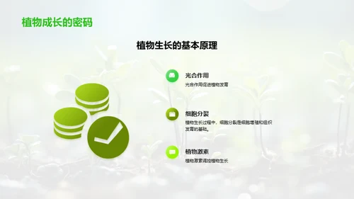 解密植物生长秘境