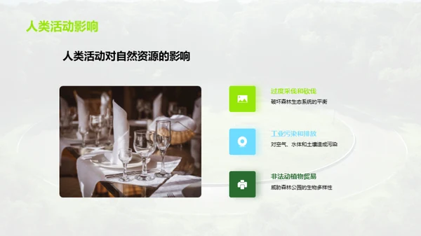 守护绿色家园