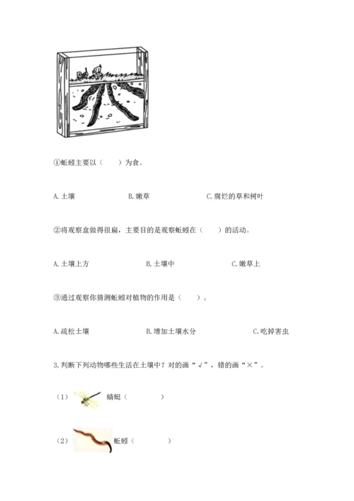 教科版科学二年级上册《期末测试卷》【预热题】.docx