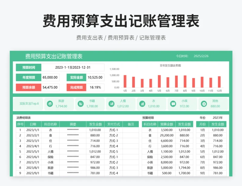 费用预算支出记账管理表