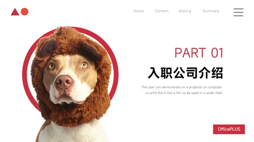红色极简高级宠物业实习报告PPT模板