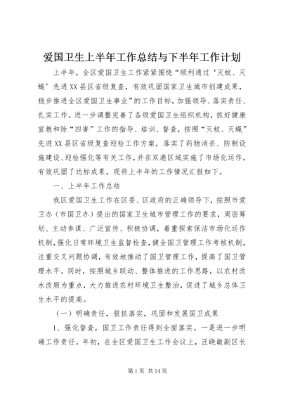 爱国卫生上半年工作总结与下半年工作计划.docx