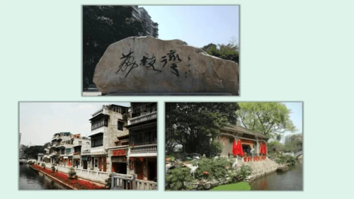 10.《我们所了解的环境污染》（第二课时）  课件