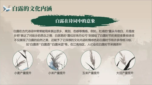 褐绿色中国风白露节气学校主题班会PPT模板