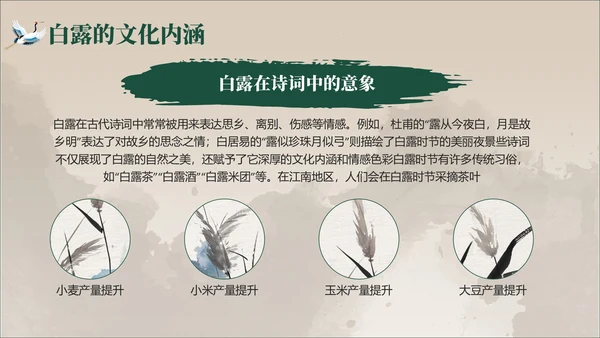褐绿色中国风白露节气学校主题班会PPT模板