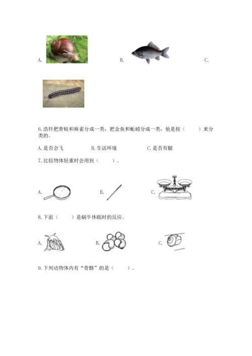教科版一年级下册科学期末测试卷【b卷】.docx
