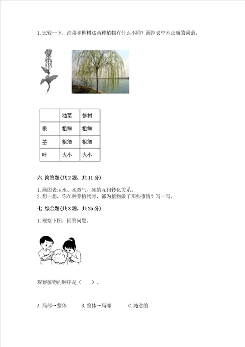 教科版科学一年级上册第一单元植物测试卷附参考答案a卷