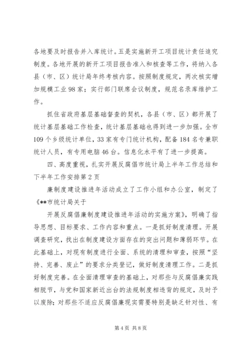 市统计局上半年工作总结和下半年工作安排 (2).docx