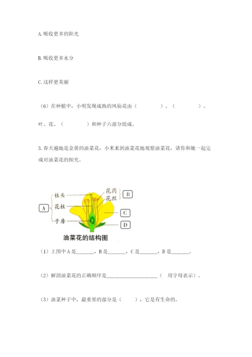 科学四年级下册第一单元植物的生长变化测试卷精品（巩固）.docx