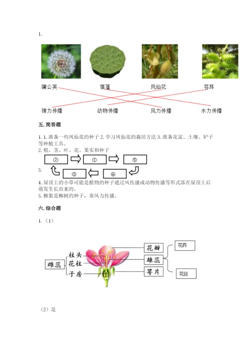 教科版科学四年级下册第一单元《植物的生长变化》测试卷精品（达标题）.docx